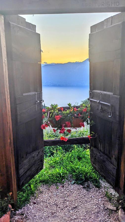 Agricampeggio La Part Only Camper San Zeno di Montagna Eksteriør billede